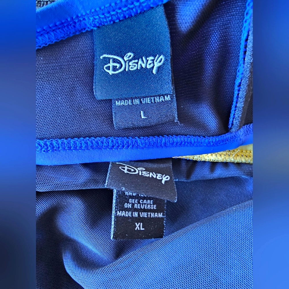 Hot Topic Disney Sleeping Beauty Bikini - image 3